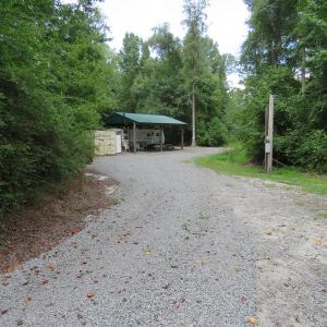 Photo of SOLD!  101 Acres of Hunting Land For Sale in Cumberland County NC!