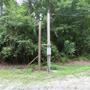 Photo of SOLD!  101 Acres of Hunting Land For Sale in Cumberland County NC!