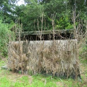 Photo of SOLD!  101 Acres of Hunting Land For Sale in Cumberland County NC!