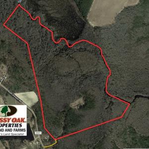 Photo of SOLD!  101 Acres of Hunting Land For Sale in Cumberland County NC!