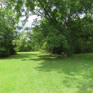 Photo of UNDER CONTRACT!  37.36 Acres of Hunting and Timber Land with House For Sale in Columbus County NC!
