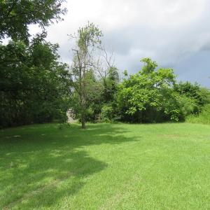 Photo of UNDER CONTRACT!  37.36 Acres of Hunting and Timber Land with House For Sale in Columbus County NC!