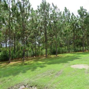 Photo of UNDER CONTRACT!  37.36 Acres of Hunting and Timber Land with House For Sale in Columbus County NC!