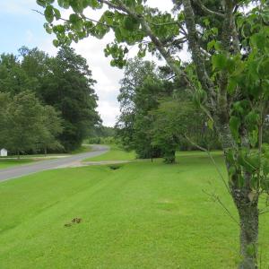 Photo of UNDER CONTRACT!  37.36 Acres of Hunting and Timber Land with House For Sale in Columbus County NC!