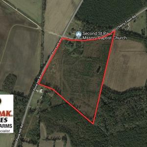 Photo of UNDER CONTRACT!  37.36 Acres of Hunting and Timber Land with House For Sale in Columbus County NC!