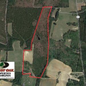 Photo of UNDER CONTRACT!  29 Acres of Hunting and Timber Land in Greensville County VA!