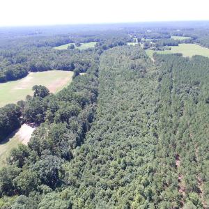 Photo of UNDER CONTRACT!  29 Acres of Hunting and Timber Land in Greensville County VA!