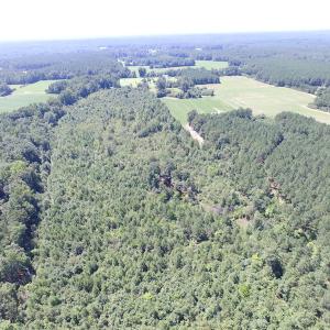 Photo of UNDER CONTRACT!  29 Acres of Hunting and Timber Land in Greensville County VA!