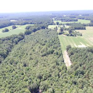 Photo of UNDER CONTRACT!  29 Acres of Hunting and Timber Land in Greensville County VA!