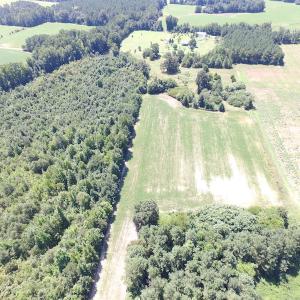 Photo of UNDER CONTRACT!  29 Acres of Hunting and Timber Land in Greensville County VA!