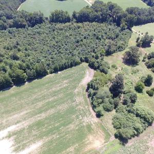 Photo of UNDER CONTRACT!  29 Acres of Hunting and Timber Land in Greensville County VA!