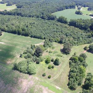 Photo of UNDER CONTRACT!  29 Acres of Hunting and Timber Land in Greensville County VA!