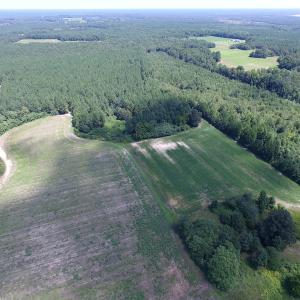 Photo of UNDER CONTRACT!  29 Acres of Hunting and Timber Land in Greensville County VA!