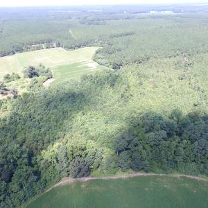 Photo of UNDER CONTRACT!  29 Acres of Hunting and Timber Land in Greensville County VA!