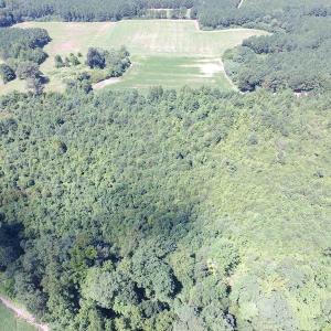Photo of UNDER CONTRACT!  29 Acres of Hunting and Timber Land in Greensville County VA!