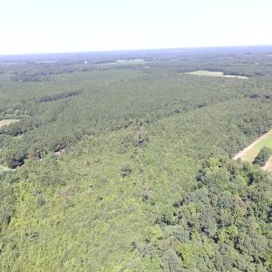 Photo of UNDER CONTRACT!  29 Acres of Hunting and Timber Land in Greensville County VA!