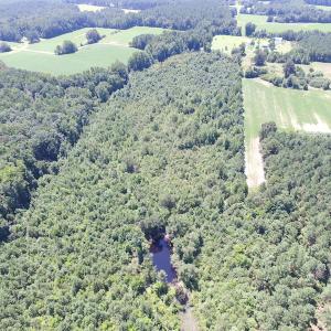 Photo of UNDER CONTRACT!  29 Acres of Hunting and Timber Land in Greensville County VA!