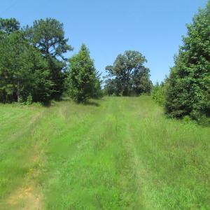 Photo of UNDER CONTRACT!  29 Acres of Hunting and Timber Land in Greensville County VA!