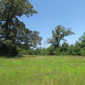 Photo of UNDER CONTRACT!  29 Acres of Hunting and Timber Land in Greensville County VA!