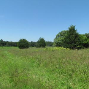 Photo of UNDER CONTRACT!  29 Acres of Hunting and Timber Land in Greensville County VA!