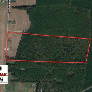 Photo of UNDER CONTRACT!  53 Acres of Hunting and Timber Land  For Sale in Suffolk VA!