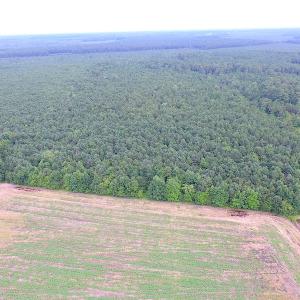 Photo of UNDER CONTRACT!  53 Acres of Hunting and Timber Land  For Sale in Suffolk VA!