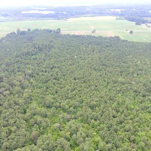 Photo of UNDER CONTRACT!  53 Acres of Hunting and Timber Land  For Sale in Suffolk VA!