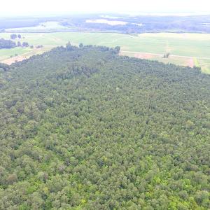 Photo of UNDER CONTRACT!  53 Acres of Hunting and Timber Land  For Sale in Suffolk VA!