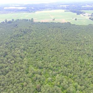 Photo of UNDER CONTRACT!  53 Acres of Hunting and Timber Land  For Sale in Suffolk VA!
