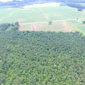 Photo of UNDER CONTRACT!  53 Acres of Hunting and Timber Land  For Sale in Suffolk VA!