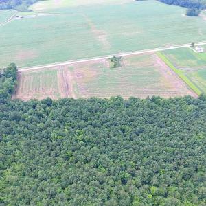 Photo of UNDER CONTRACT!  53 Acres of Hunting and Timber Land  For Sale in Suffolk VA!