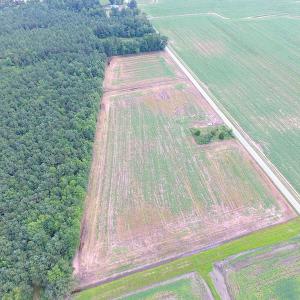 Photo of UNDER CONTRACT!  53 Acres of Hunting and Timber Land  For Sale in Suffolk VA!
