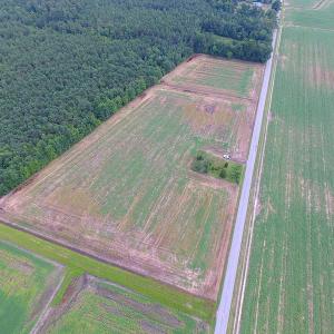 Photo of UNDER CONTRACT!  53 Acres of Hunting and Timber Land  For Sale in Suffolk VA!
