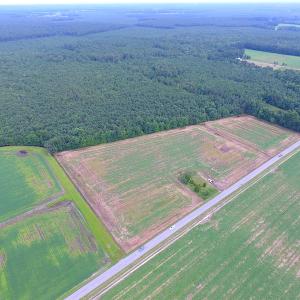 Photo of UNDER CONTRACT!  53 Acres of Hunting and Timber Land  For Sale in Suffolk VA!