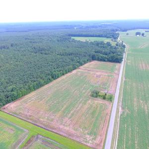 Photo of UNDER CONTRACT!  53 Acres of Hunting and Timber Land  For Sale in Suffolk VA!