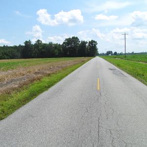Photo of UNDER CONTRACT!  53 Acres of Hunting and Timber Land  For Sale in Suffolk VA!