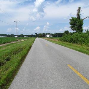 Photo of UNDER CONTRACT!  53 Acres of Hunting and Timber Land  For Sale in Suffolk VA!