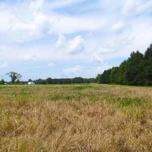Photo of UNDER CONTRACT!  53 Acres of Hunting and Timber Land  For Sale in Suffolk VA!