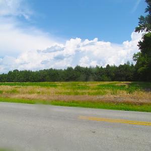 Photo of UNDER CONTRACT!  53 Acres of Hunting and Timber Land  For Sale in Suffolk VA!