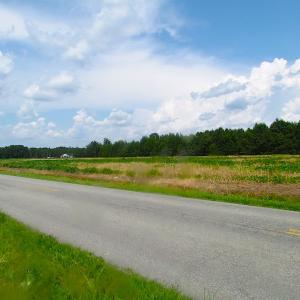 Photo of UNDER CONTRACT!  53 Acres of Hunting and Timber Land  For Sale in Suffolk VA!