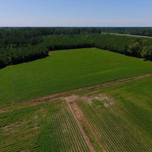 Photo of UNDER CONTRACT!  61.43 Acres of Farm and Timber Land For Sale in Wilson County NC!