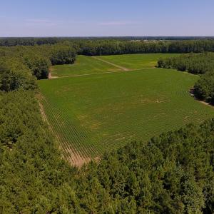 Photo of UNDER CONTRACT!  61.43 Acres of Farm and Timber Land For Sale in Wilson County NC!