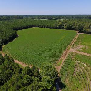 Photo of UNDER CONTRACT!  61.43 Acres of Farm and Timber Land For Sale in Wilson County NC!