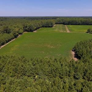 Photo of UNDER CONTRACT!  61.43 Acres of Farm and Timber Land For Sale in Wilson County NC!