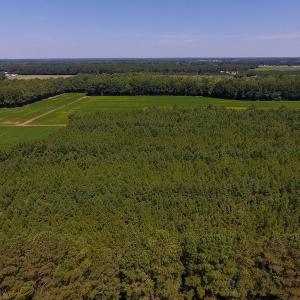 Photo of UNDER CONTRACT!  61.43 Acres of Farm and Timber Land For Sale in Wilson County NC!