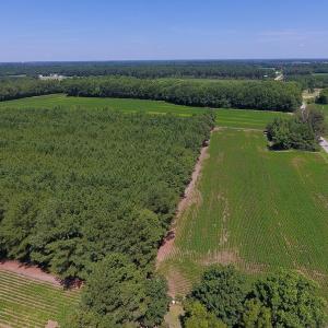 Photo of UNDER CONTRACT!  61.43 Acres of Farm and Timber Land For Sale in Wilson County NC!