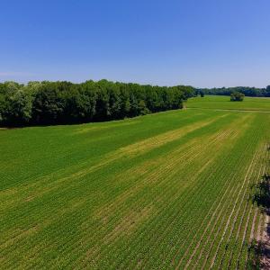 Photo of UNDER CONTRACT!  61.43 Acres of Farm and Timber Land For Sale in Wilson County NC!