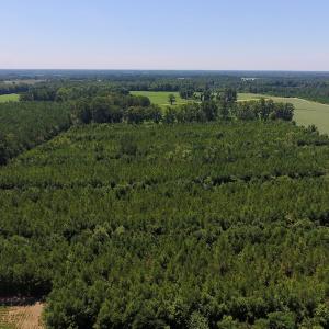 Photo of UNDER CONTRACT!  61.43 Acres of Farm and Timber Land For Sale in Wilson County NC!