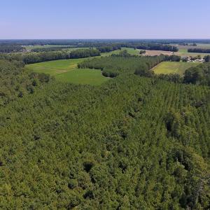 Photo of UNDER CONTRACT!  61.43 Acres of Farm and Timber Land For Sale in Wilson County NC!