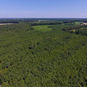 Photo of UNDER CONTRACT!  61.43 Acres of Farm and Timber Land For Sale in Wilson County NC!